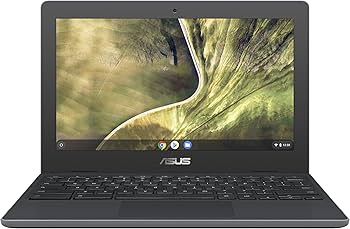 ASUS Chromebook C204, 11.6