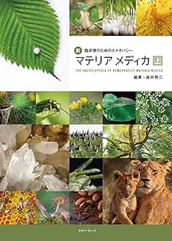 91GzkQ4RSoL._AC_UF350,