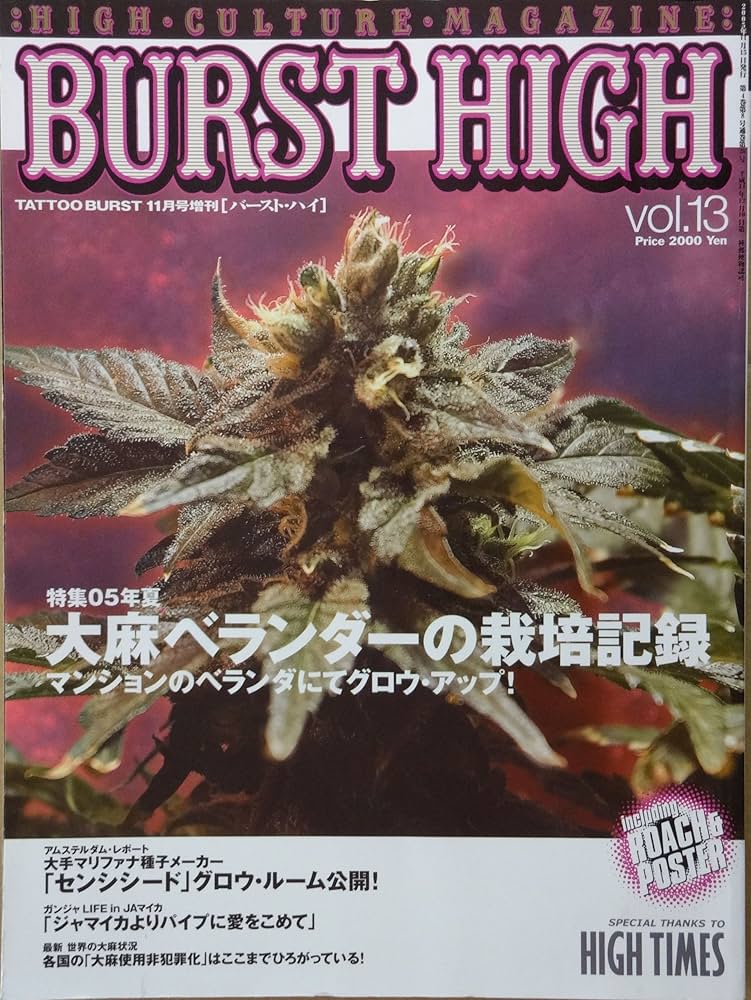 Amazon.co.jp: バースト ハイ BURST HIGH Vol.13 : 本