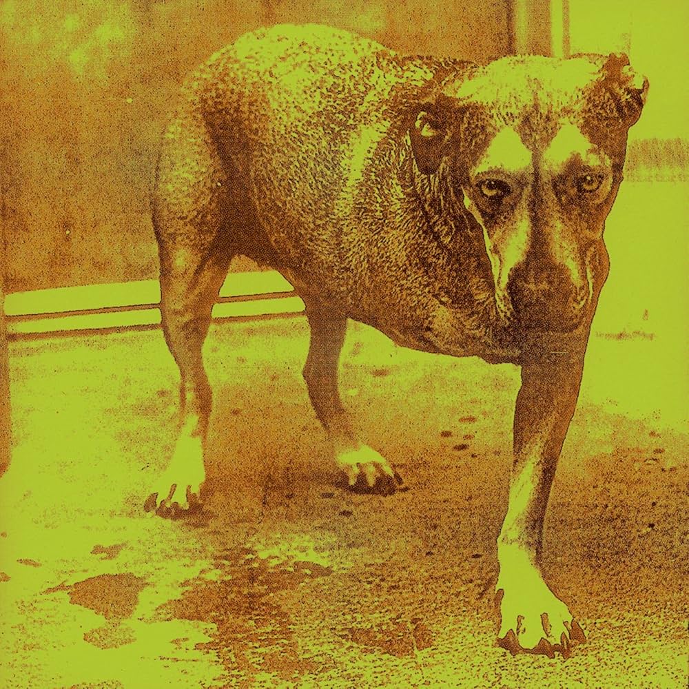 Amazon.com: Alice In Chains: CDs & Vinyl