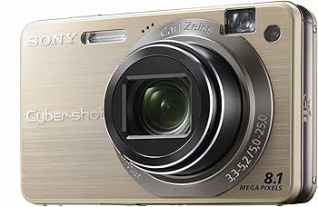 Amazon.com : Sony Cybershot DSCW150/G 8.1MP Digital Camera with 5x