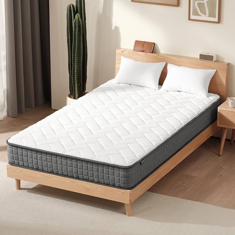 91jEupB99pL._AC_UF894,