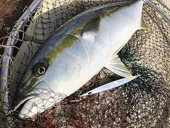 Amazon.co.jp: NatureBoys(ネイチャーボーイズ) 鉄ジグ スイムライダー