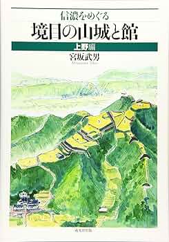 91nPvVmaZHL._AC_UF350,