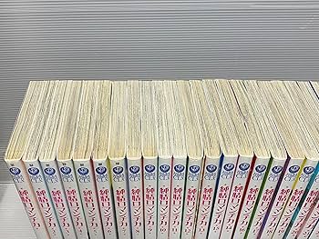 純情ロマンチカ コミック 新品 1-30巻セット (KADOKAWA) | 中村春菊