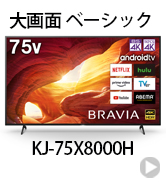 Amazon.co.jp: ソニー 49V型 液晶 テレビ ブラビア KJ-49X9500H 4K