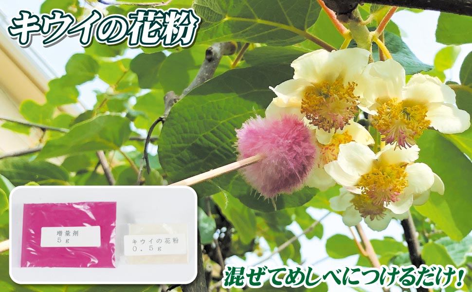 Amazon.co.jp: 果樹苗 資材 キウイの花粉+増量剤 1組 / 国華園 25年春