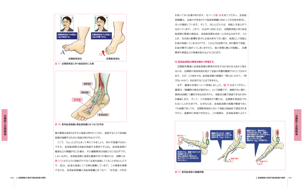 林典雄の運動器疾患の機能解剖学に基づく評価と解釈 下肢編 (運動と