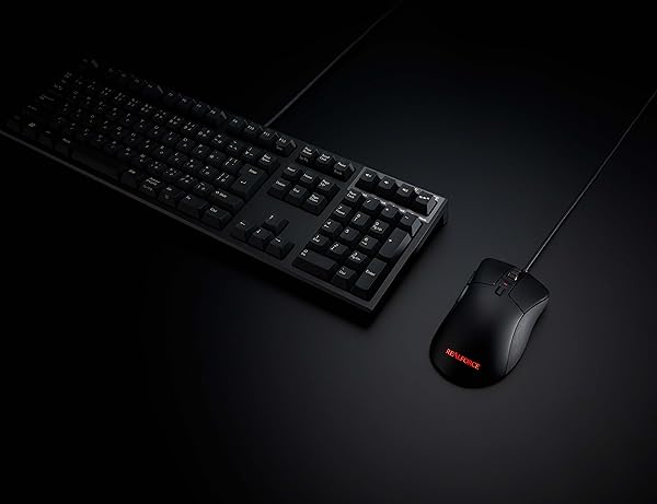 Amazon.co.jp: REALFORCE R3S キーボード 有線 フル 45g 日本語配列