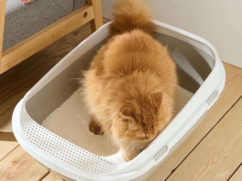 Amazon | 【OFT】 ナチュラルブレンドサンド 2.8kg 4個セット