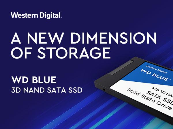 Amazon.com: Western Digital 1TB WD Blue 3D NAND Internal PC SSD