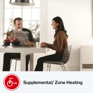 Amazon.com: Rinnai EX22DTN Direct Vent Wall Furnace, Indoor