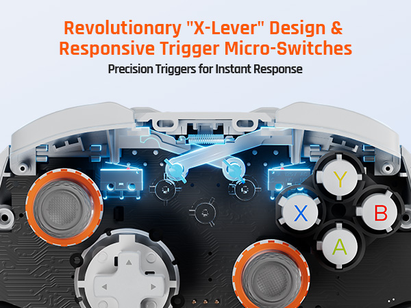 Amazon.com: BIGBIG WON BLITZ2 Wireless Controller, 16 Fully