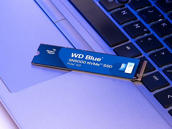 Amazon.com: Western Digital 2TB WD Blue SN5000 NVMe Internal Solid