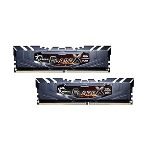 Amazon | G.SKILL Flare X Series 16GB (2 x 8GB) 288-Pin DDR4 SDRAM