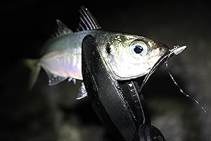 Amazon | ダイワ(DAIWA) 万能振出ルアーロッド モバイルパック 615TLS