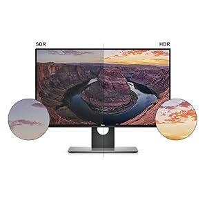Amazon.co.jp: Dell 4Kモニター 23.8インチ P2415Q(3年間無輝点交換