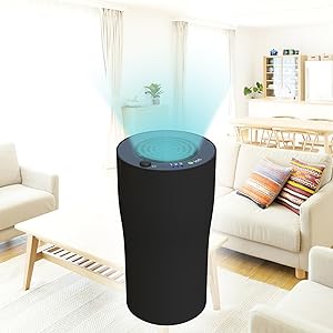 Amazon.co.jp: KEIYO 空気清浄機 プラズマイオン 発生器 ウイルス対策