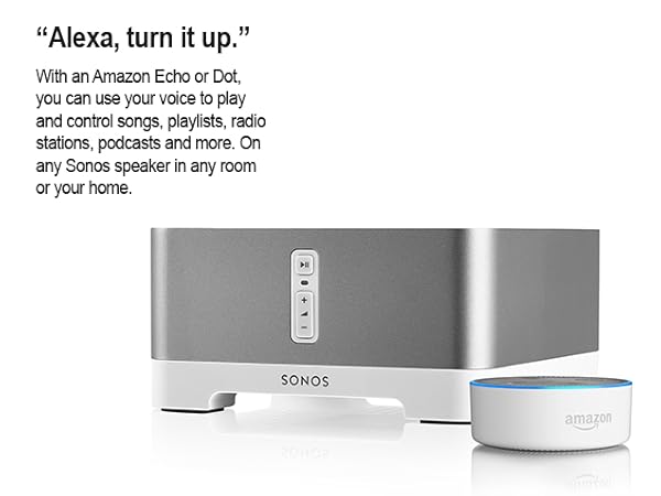 Amazon.com: Sonos Connect:AMP Wireless Amplifier (2017) : Electronics