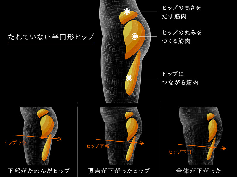 Amazon.co.jp: MTG SIXPAD シックスパッド ボトムベルト L(Bottom Belt