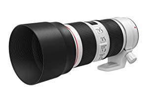 Amazon.co.jp: キヤノン 2309C001 EF70-200mm F4L IS II USM : 家電