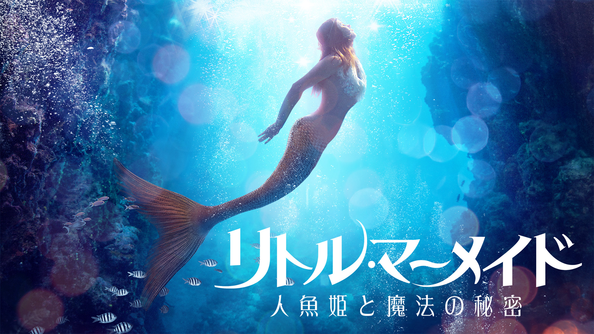 Amazon.co.jp: （予告）リトル・マーメイド 人魚姫と魔法の秘密を観る