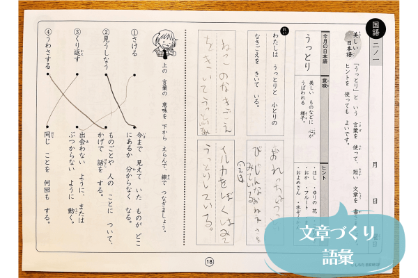 七田式継続3年目！小学生プリント思考力国語2年生をブログで口コミ -