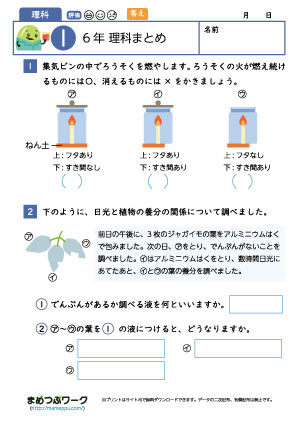 小6・理科の総まとめプリント｜無料ダウンロード | まめつぶワーク