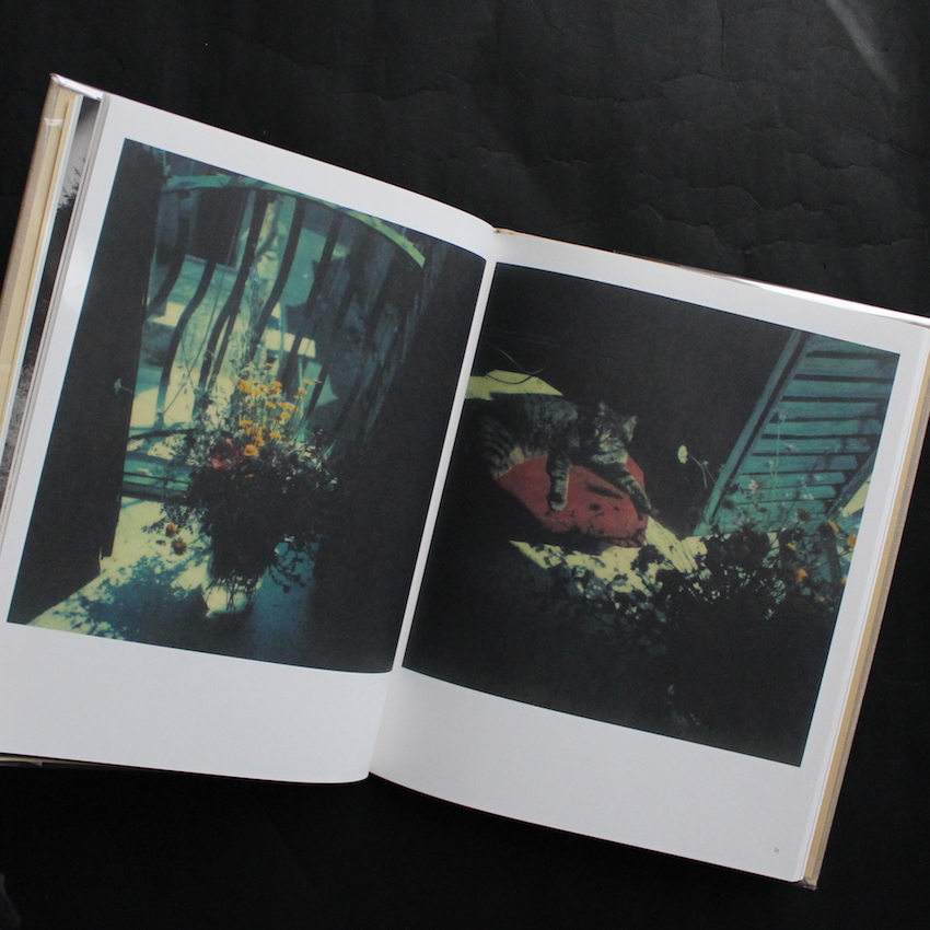 Bright, bright day (English Edition) - Andrey Tarkovsky