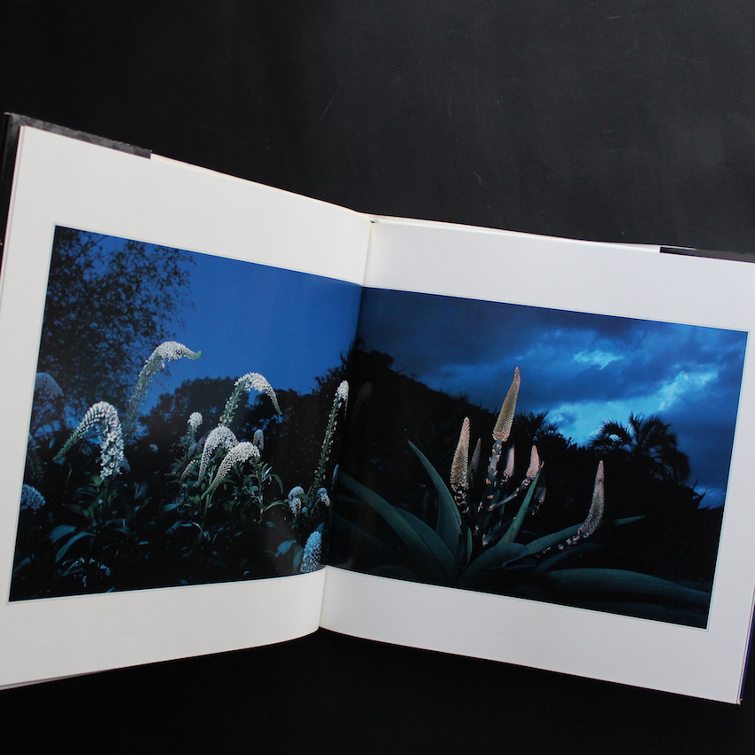 花狩 / Botanical Planetarium - 山村 雅昭 / Gasho Yamamura