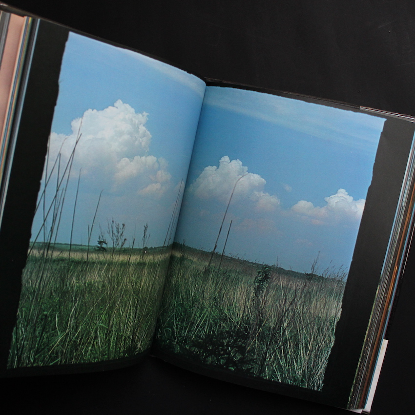 晴れた日 / A Fine Day（Signed, With Shipping Box） - 篠山 紀信