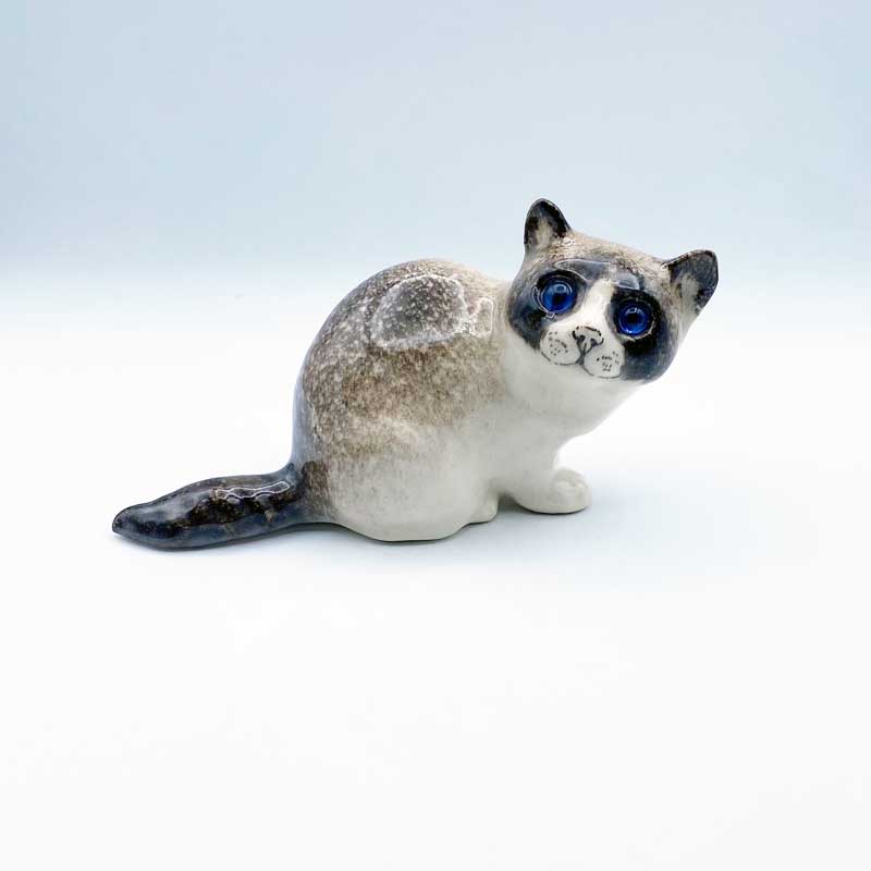 ウィンスタンレイキャット たぬきっぽいシャム猫ちゃん ブルーアイズ