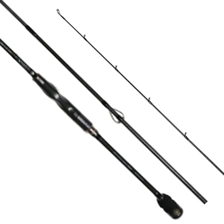 LESTER RULER sensitivity 8.6 スロー | ロッド,ショア,エギング