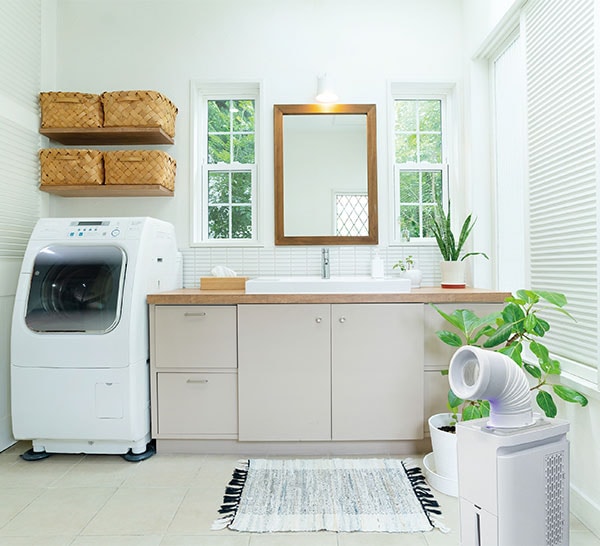 9_000000009394.jpg?1679278283