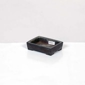 盆栽鉢・水盤,現代小鉢,流苑(りゅうえん) | 遊恵盆栽 本店