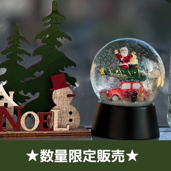 キラキラ輝く心温まる世界観♪