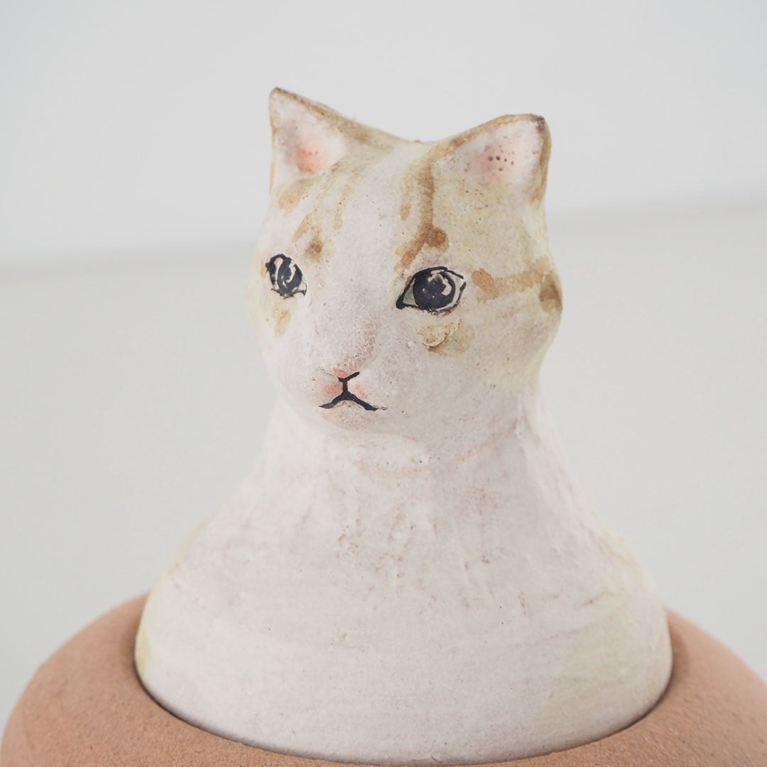 カノプス壺/ねこ | acne.pottery.studio | 糸島くらし×ここのき 公式