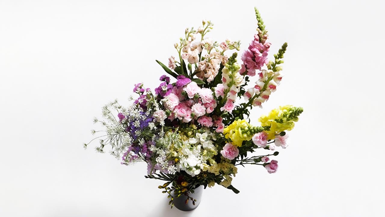 早坂園芸】南房総の切り花 大（約60本）