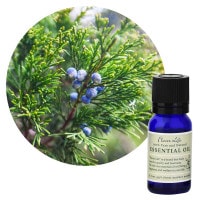 フレーバーライフ】グレープフルーツ｜エッセンシャルオイル（精油