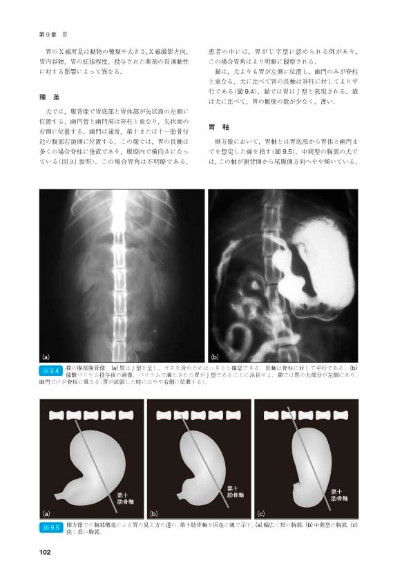 BSAVA 犬と猫の腹部画像診断マニュアル | BSAVAマニュアルシリーズ