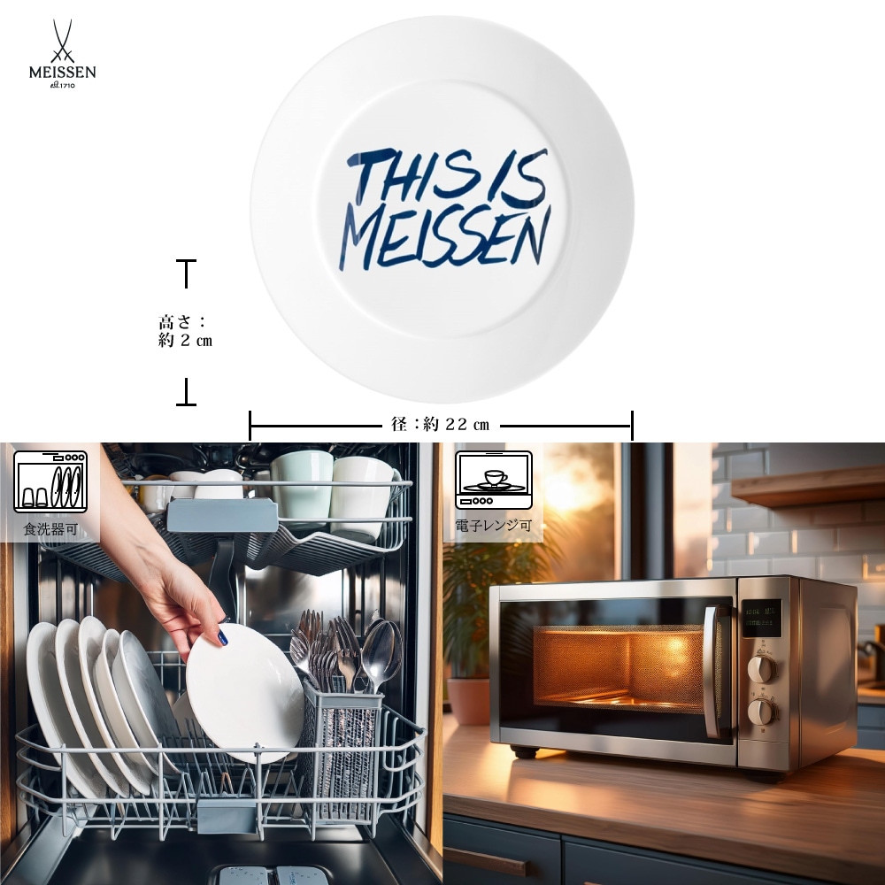 マイセン プレート22cm ディス イズ マイセン 79A407/41473 | This is
