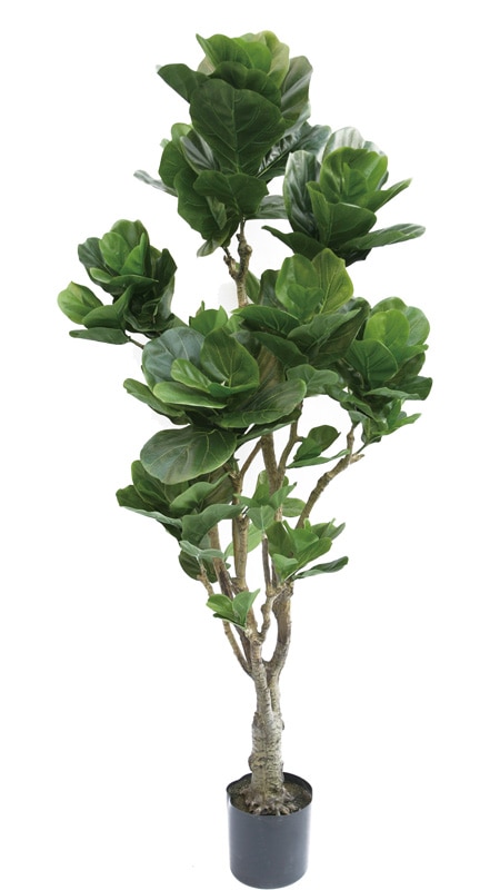 フェイクグリーン カシワバゴム1800｜フェイクグリーン・人工植物 専門