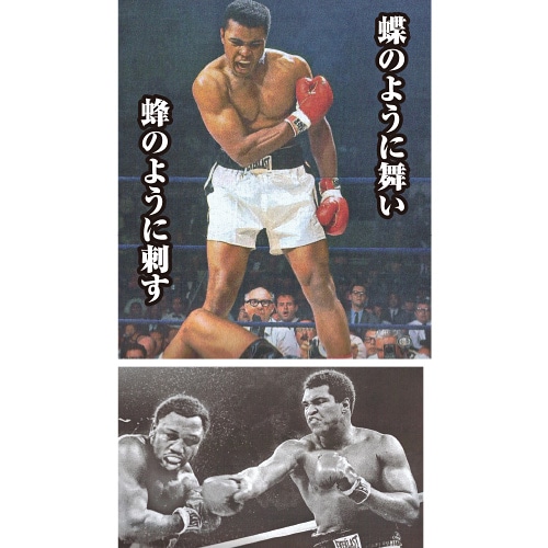 モハメド・アリ ザ・グレーテスト DVD 5枚組 : モハメド・アリ ザ