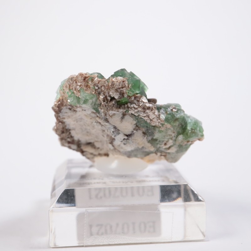 エロンゴ鉱山 フローライト | 鉱物標本,ハ行,フローライト/蛍石