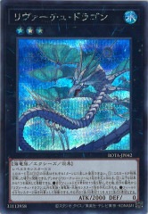 ナチュル・ビースト dtc シークレット シク クロニクル ターミナル