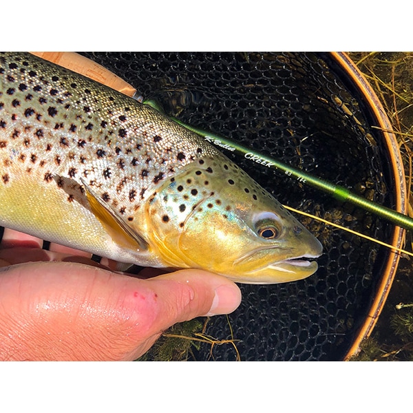 35_000000001908.jpg?1718073213