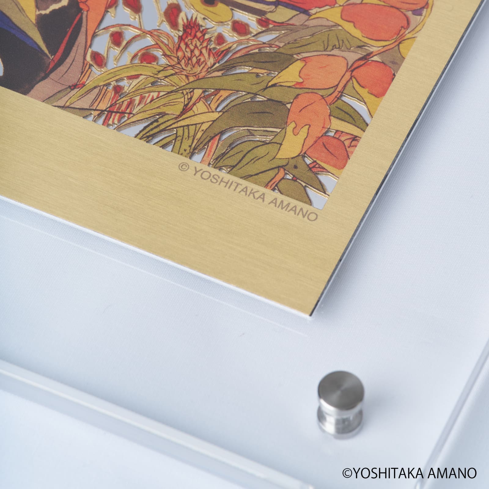 受注生産品》天野喜孝 アートミラー ヒカリキリエ 『楽園の秘密