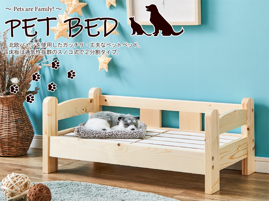 北欧パイン材を使用したベットベッド1段！ | 店舗,後藤家具物産株式