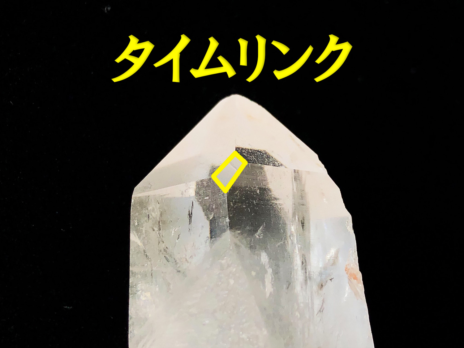 マスタークリスタル「タイムリンク」】【原初の愛】オールド