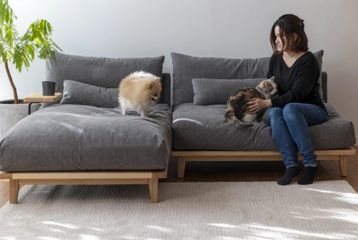 ソファ Fumi(フミ) 幸せになるソファ ワイド＋ロングセット 標準生地